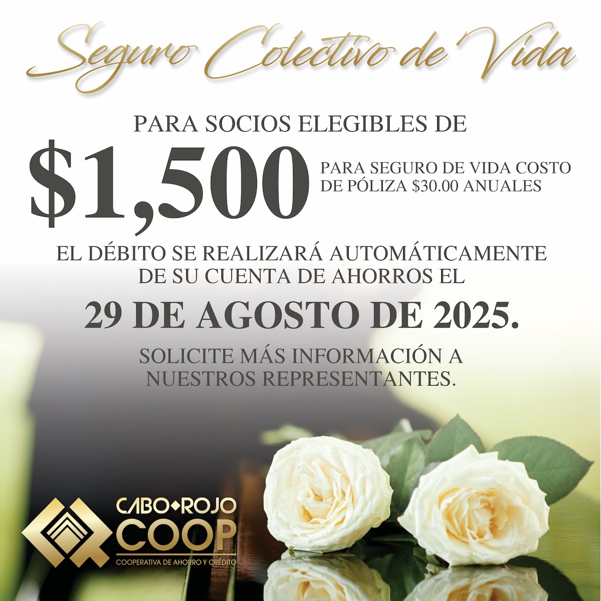 ARTE_Seguro_COOP_ago 2025